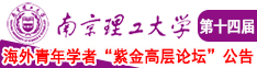 啊,干,骚,水南京理工大学第十四届海外青年学者紫金论坛诚邀海内外英才！